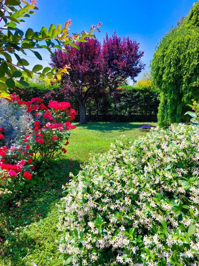 Bed and Breakfast Il Casale San Giovanni In Marignano Exterior foto